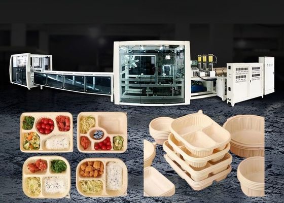 Compostable Lunch Fast Food Box Forming Machine