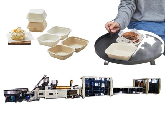 Linha máquina biodegradável descartável da caixa do hamburguer da maquinaria da bolha do recipiente de alimento