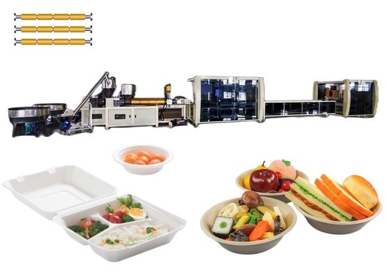 Recipiente plástico descartável do equipamento da bolha de três parafusos que faz a máquina